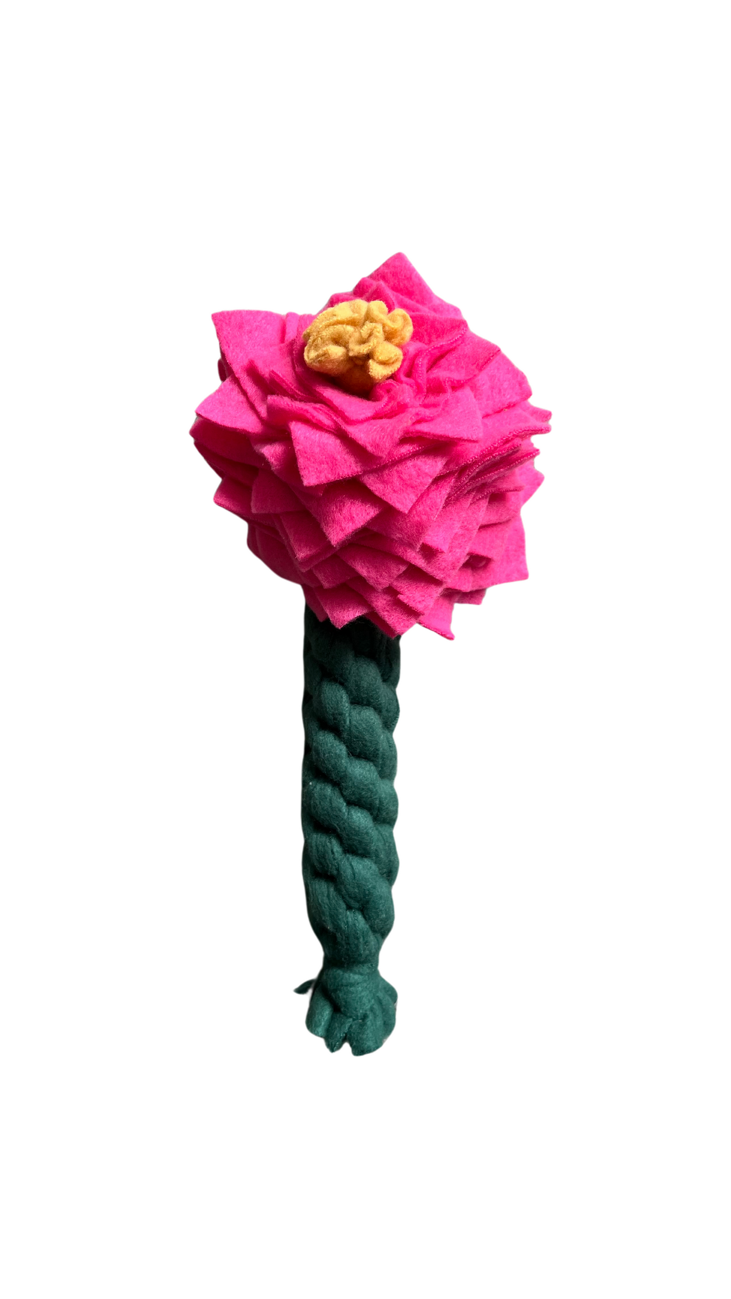 Schnüffel-Blüte mit Zergel