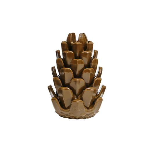 Loblolly Pinecone